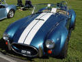 Shelby 2918419