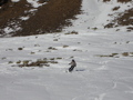 Skiurlaub Sölden/Hochgurgl 34069691