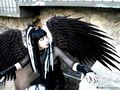 Fallen Angel's 72142103