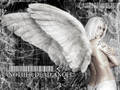 Fallen Angel's 9087650