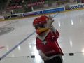 Eishockey B-WM 2008 - Innsbruck 37126161