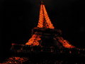 ~-~-< One Night in Paris >-~-~ 14672972