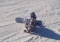 Snowboarden Near Sibiria 50774646
