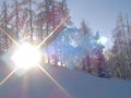 Snowboarden Near Sibiria 50775019