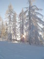 Snowboarden Near Sibiria 50775078
