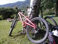 MTB Hetz Schafberg  5.Juli 40781355