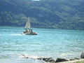 Rap Bull CLIFF DIVING Wolfgangsee 19.7 41540695