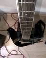 Gitarre, Bass und Co 2355070