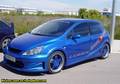 PEUGEOT TUNING!!!! 1583872