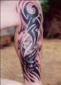 Tattoo`s, Bikes & Cars 9034673