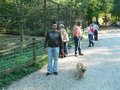 Tierpark St. Haag 28552383