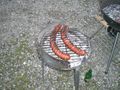 Grillen 2009 61896722