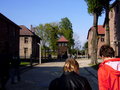 Auschwitz-Stammlager Auschwitz 19277939