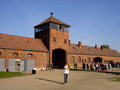 Auschwitz-Auschwitz-Birkenau 19278038