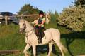 reiten... 2954252