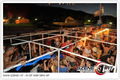 REUNION Spring Break @ Kroatien Umag2009 67545944