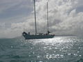 Sailing Trip Whitsunday Island(AUS) 39868098