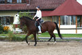 reiten 15667233