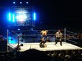 WWE Vienna 58033202