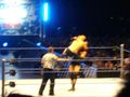 WWE Vienna 58033204