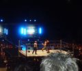 WWE Vienna 58033285