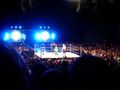 WWE Vienna 58033290