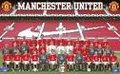 Manchester United 28125841