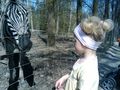 tierpark haag :) 57481414