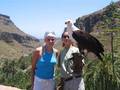 Urlaub Gran Canaria 2005 2832386