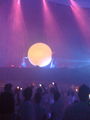 Sensation_white_09 59314194