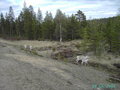 Skandinavien 2005 10975633