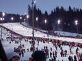 Nochtslalom Schladming 2006 4006725