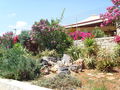 Kreta Juni 2008 40504886