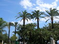 Cannes 08 40972060