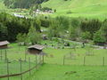 Urlaub Salachtal 2009 (Großglockner) 61038746