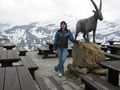 Urlaub Salachtal 2009 (Großglockner) 61038790