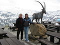 Urlaub Salachtal 2009 (Großglockner) 61038793