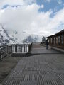 Urlaub Salachtal 2009 (Großglockner) 61038821