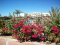 Marsa Alam 2009 69001685