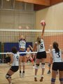 Volleyball 25804987