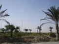 El Gouna-Hurgada-Ägypten 2007 (Seme 16452732