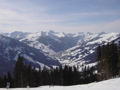 Skifahren Saalbach 2008 34524807