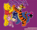 Winnie the Pooh 6986365