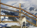 Kitzbühel--Eine Nacht im Iglu!!! 32958490