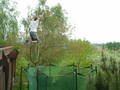 Fun at our trampoline at home 6298841