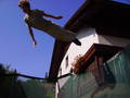 Fun at our trampoline at home 9308224