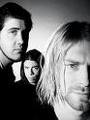 NiRvAnA 31977521