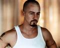 American History X 3826428