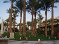 Ägypten Hurghada Urlaub 2009!! 61233056