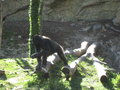 Schulausflug Tierpark Schmiding 26728301